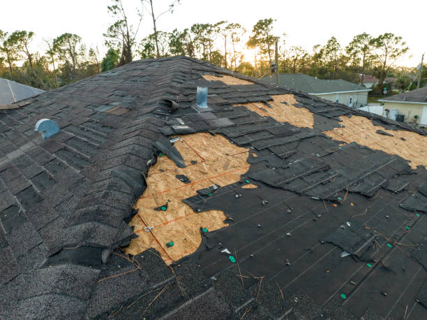 Best Steel Roofing  in Columbus, GA